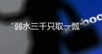 “弱水三千只取一瓢” 好品牌选史麦斯电器