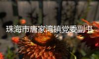 珠海市唐家湾镇党委副书记、镇长钟华接受纪律审查和监察调查