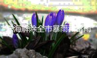 珠海解除全市暴雨和雷雨大风预警！今天天气→