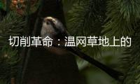 切削革命：温网草地上的隐秘武器