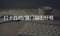 打卡胜地/厦门猫街好有苗头