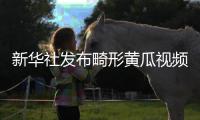 新华社发布畸形黄瓜视频爆火	，戳破了当下教育最大的真相