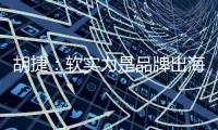 胡捷：软实力是品牌出海的硬道理