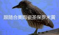 跟随合美陶瓷圣保罗米黄,尽显高雅大气格调感