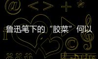 鲁迅笔下的“胶菜”何以如此美味
